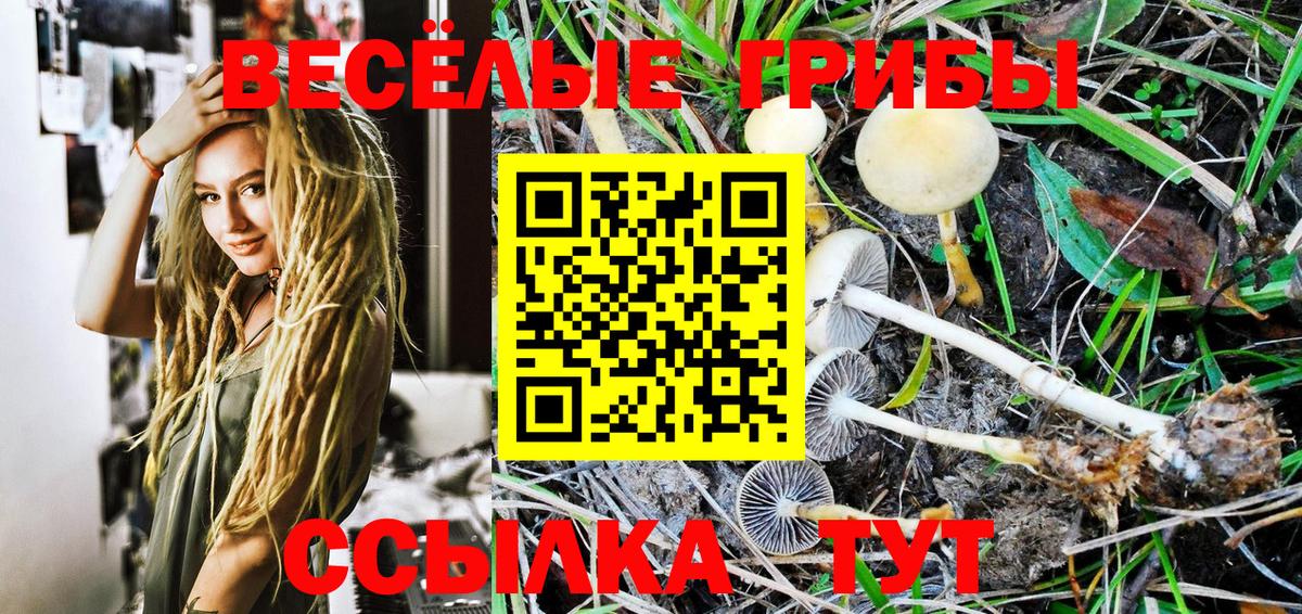 Галлюциногенные грибы Cubensis Надым