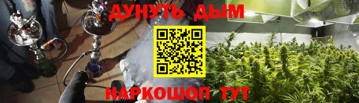Канабис конопля Надым